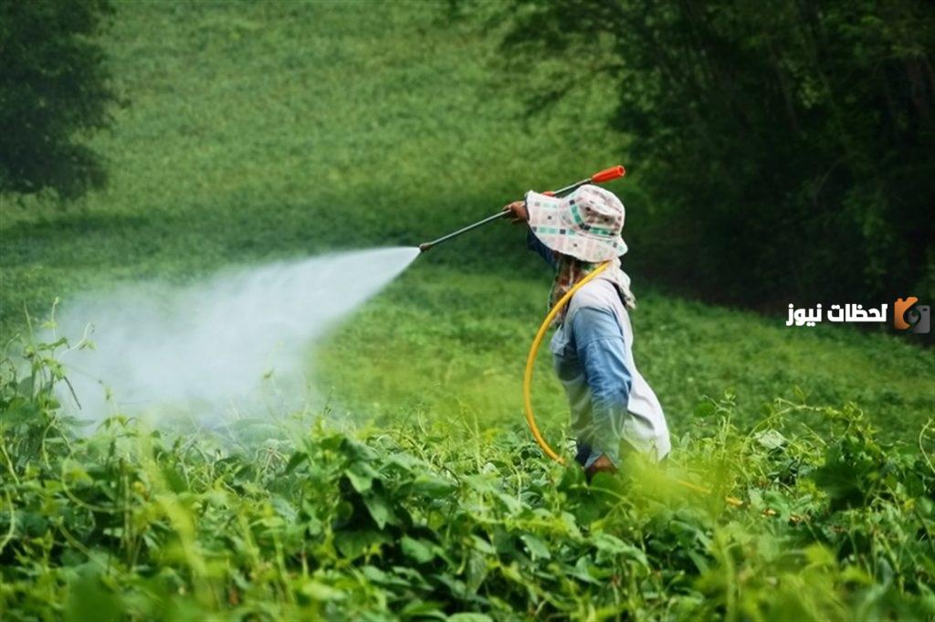 كيفية الحصول على صلاحية تجارة المبيدات في مصر