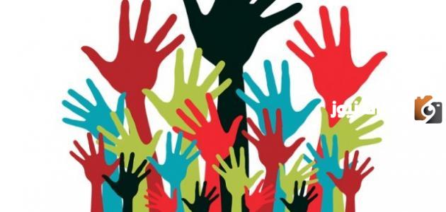 ما هي مجالات العمل التطوعي في مصر