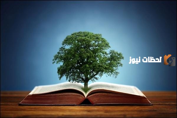 ما هي مميزات البيئة الطبيعية1