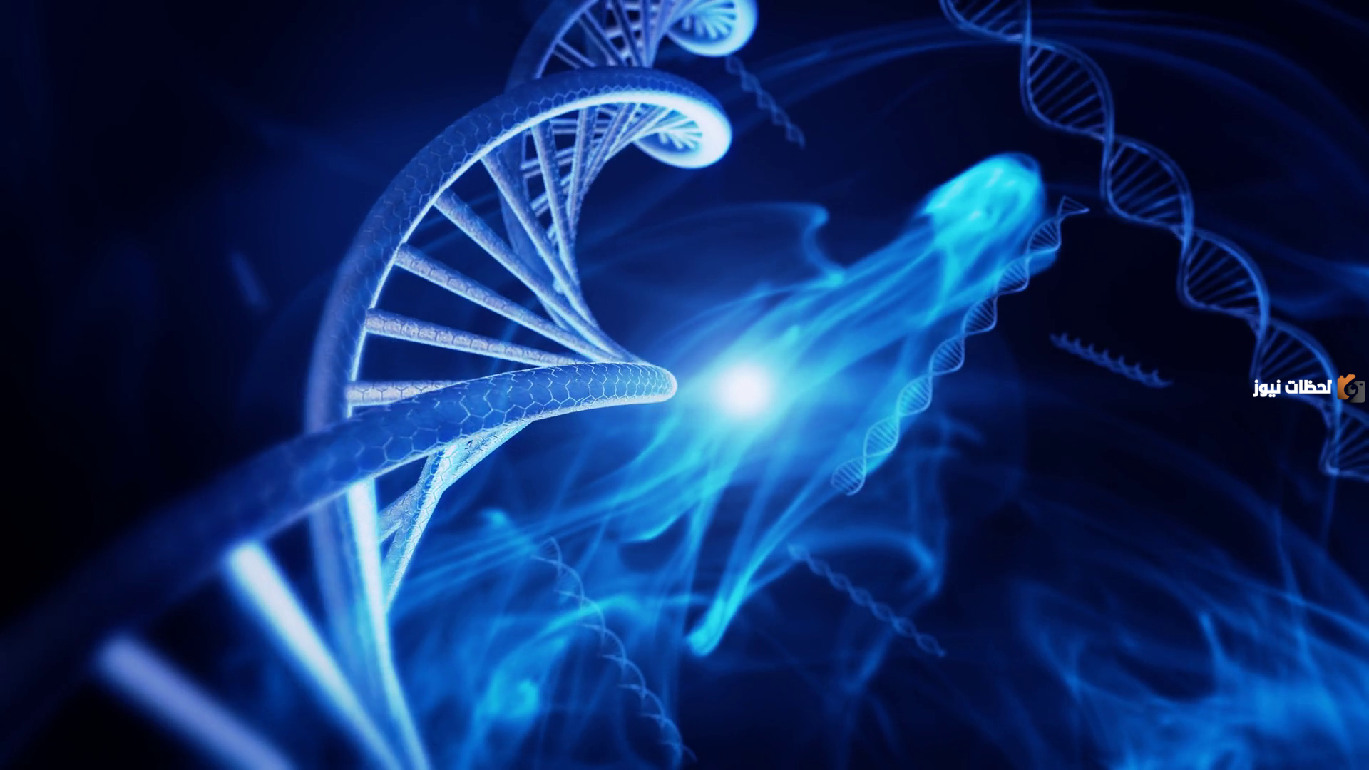 معلومات عن الـ DNA ووظائفه ومكوناته