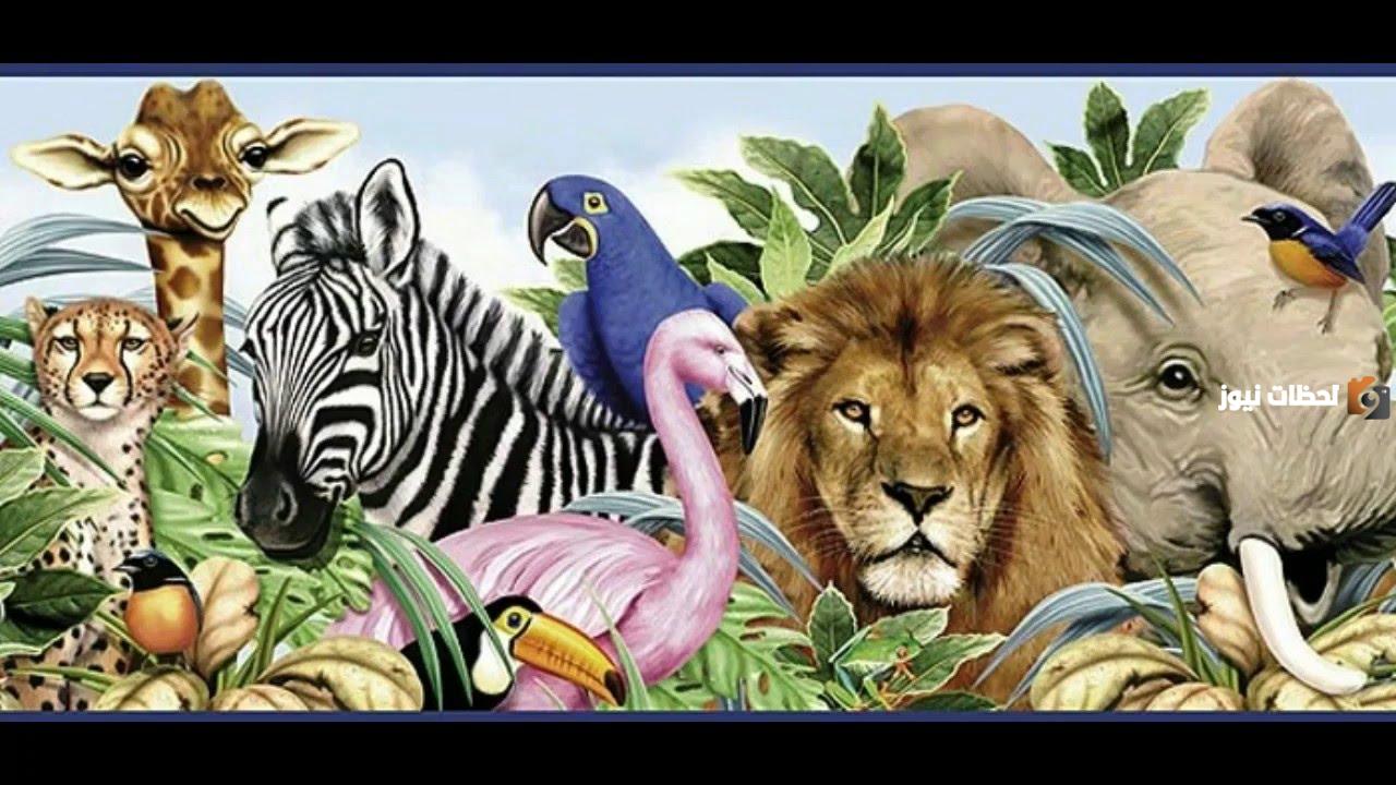 موضوع عن حديقة الحيوانات3