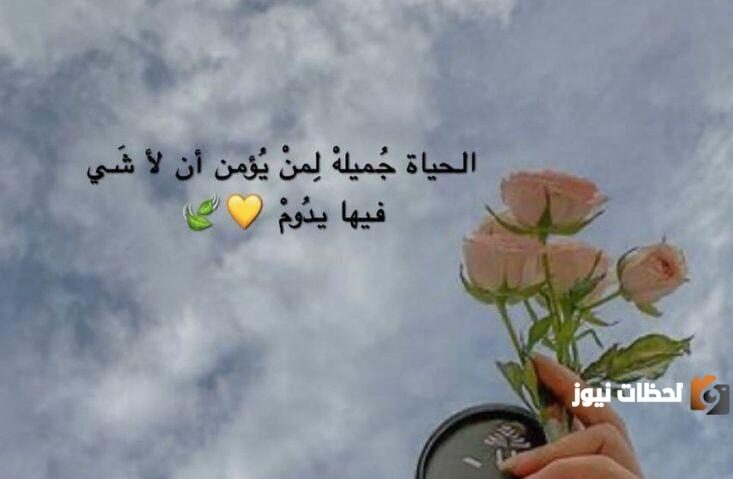 خواطر خليجية تويتر