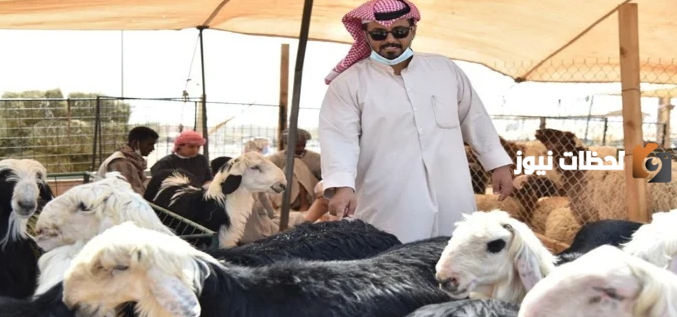 تعرف من هنــــا على الأوراق المطلوبة لتقديم طلب الاستفادة من دعم صغار