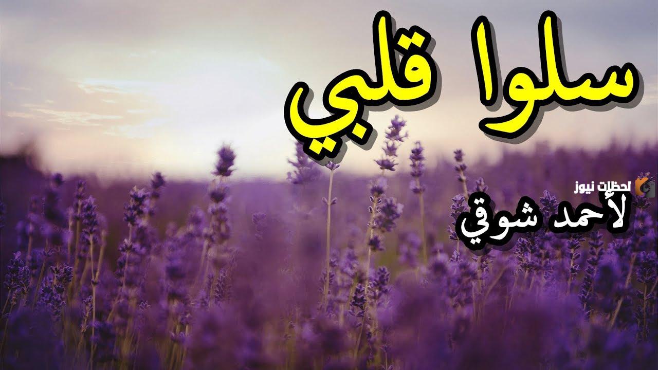 قصيدة سلوا قلبي في مدح الرسول