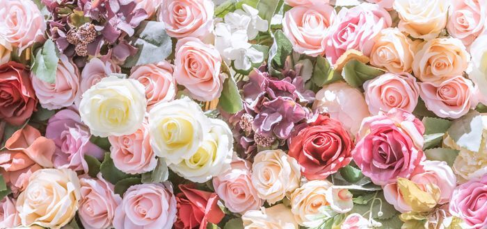 15 عبارة لـ " كلام جميل يجذب الناس " بالانجليزي