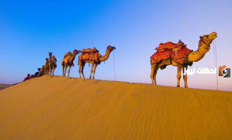 الشريدة وش يرجعون وما اصل عائلة الشريدة وما نسبهم