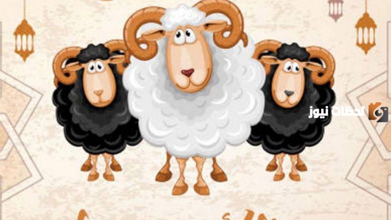 رسائل عن عيد الأضحى لتهنئة الأهل والأصدقاء والأحباب