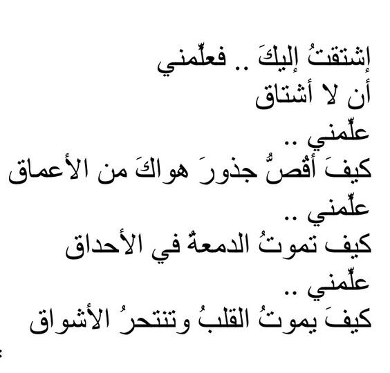 أجمل مقولات في الحب | اجمل عبارات الحب في عيد الميلاد
