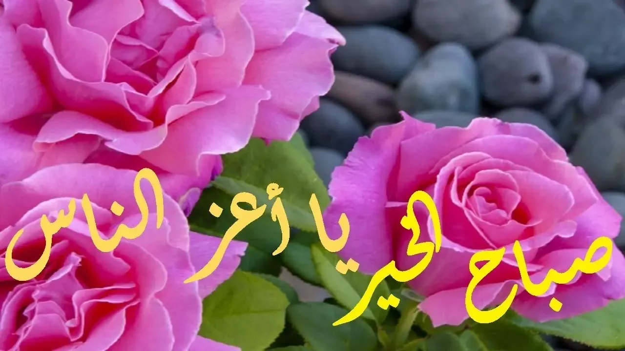 كلمات صباحية جميلة | عبارات صباح قصيرة ومميزة