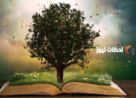 حكمة