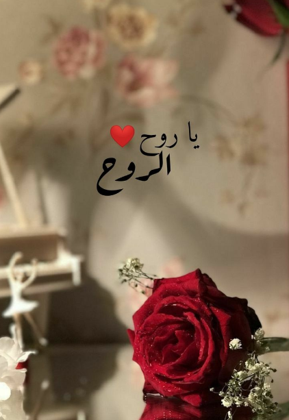 كلام عن عيد الحب بالعامية مع الصور