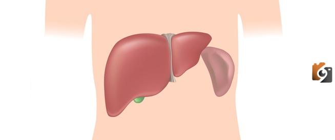 أعراض تضخم الكبد