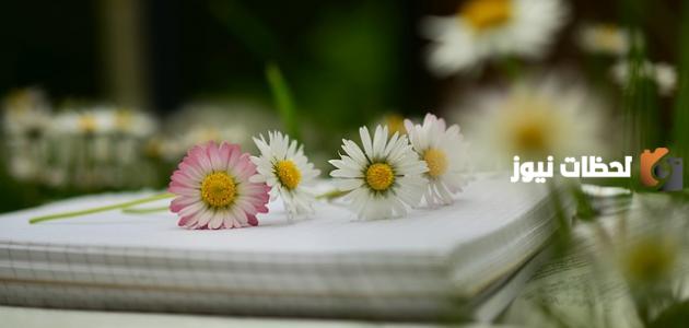 أجمل قصائد أبي نواس في مدح الخمر والغزل