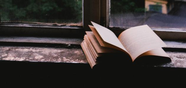 أجمل قصائد عنترة بن شداد | شعر غزل لعنترة بن شداد