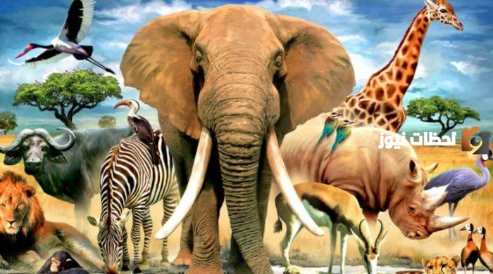 أسئلة صعبة عن الحيوانات مع اختيارات للمسابقات