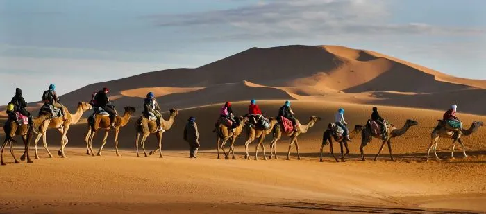 أسماء قبائل الإمارات الشيعية وأشهر ما يتميزون به