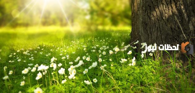 أشعار عن جمال الطبيعة والأرض الخضراء أشعار عن جمال الطبيعة والأرض الخضراء