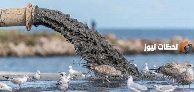 أشكال التلوث المائي