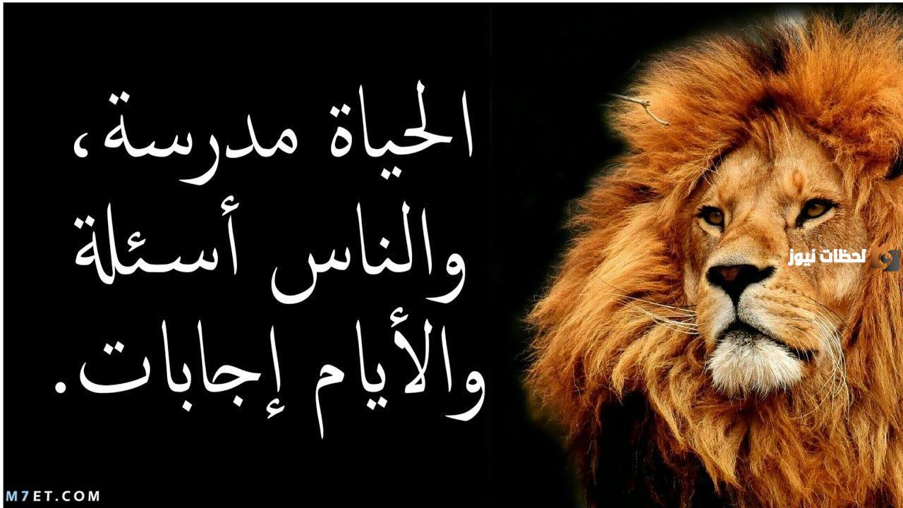 أمثال عن القوة