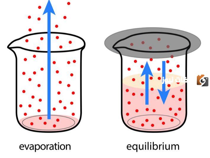 أنواع الاتزان الكيميائي