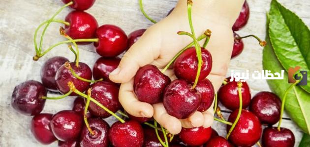 أين تزرع شجرة الكرز وما هي عوامل زراعتها