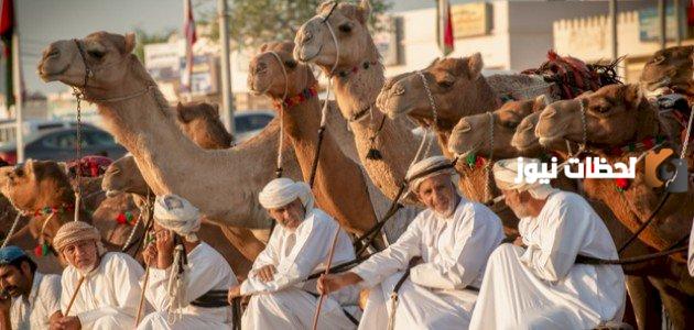 أين تسكن قبائل هذيل وما أبرز المعلومات عنها