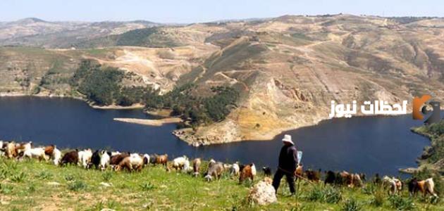 أين يقع سد الملك طلال ومن أين ينبع