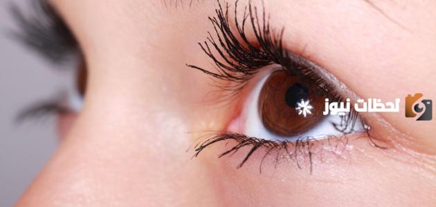 اذا احد قال من عيوني وش ارد عليه