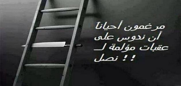 اقوال وحكم عن الدراسة