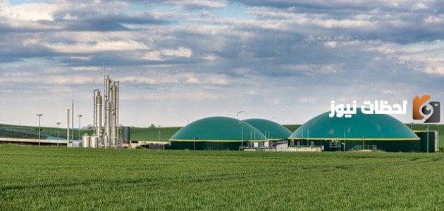 الطاقة الحيوية