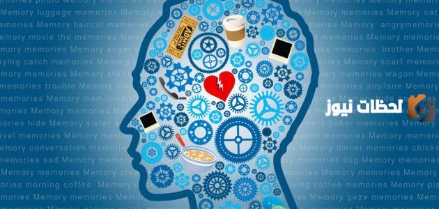 المنهج التجريبي في علم الاجتماع ما هي علاقته بالعلوم الأخرى