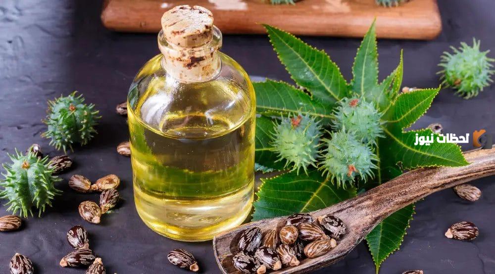 تعرف على كيفية استخراج زيت الخروع واستخداماته