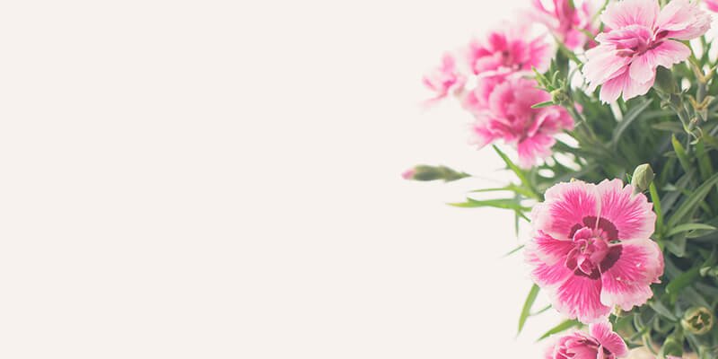 تهنئة بالنجاح والتفوق في الدراسة والعمل