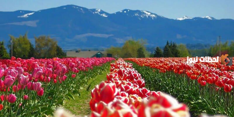 حكم عن فصل الربيع باللغة العربية والإنجليزية مع الصور