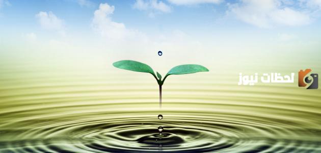 حكم ونصائح قصيرة عن الحياة والناس للعظة