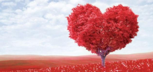 إليك مجموعة من حكم وكلام جميل عن الحب