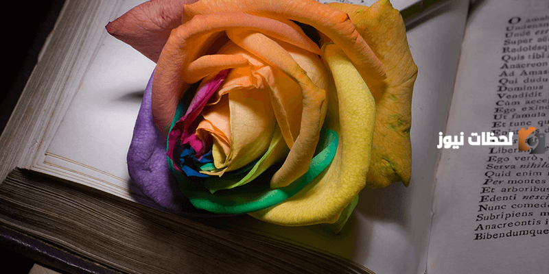 خواطر وأشعار قصيرة جميلة ومتنوعة