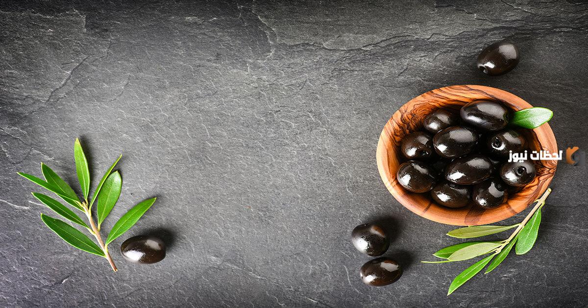 دراسة جدوى مشروع إنتاج الزيتون الأسود المخلل وطرق التسويق الناجحة