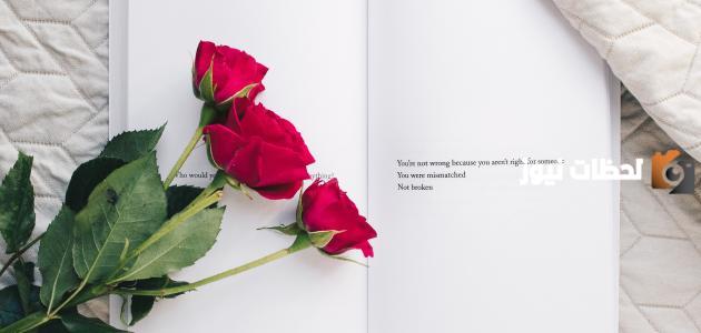 رسائل حب قوية.. وأجمل العبارات التي قيلت في الحب