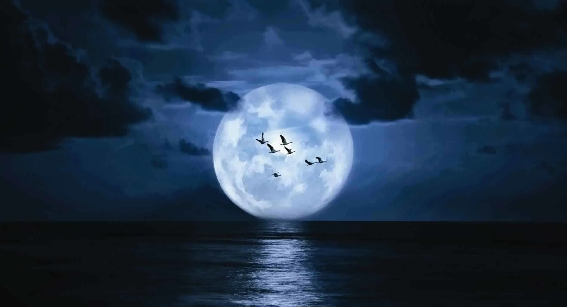 عبارات مسائية رائعة