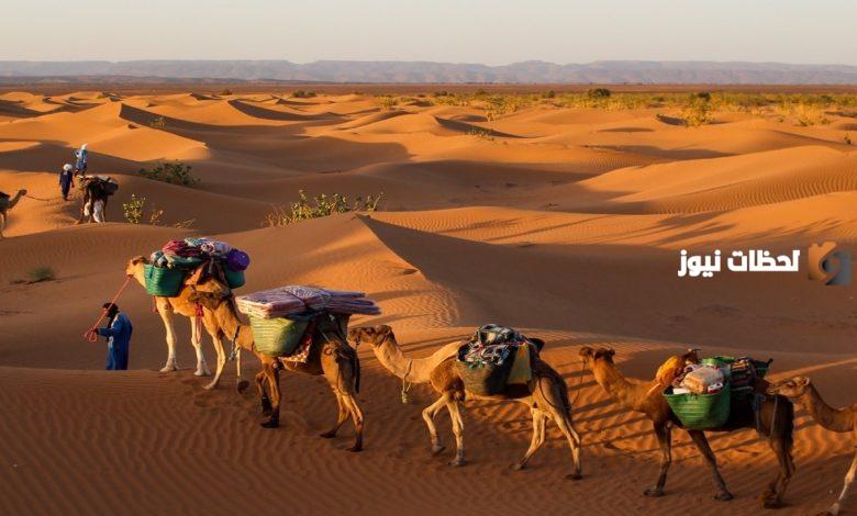 قبيله القثامي وش يرجعون وما أصلها ونسبها