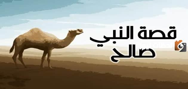 قصة قوم ثمود والناقة للأطفال