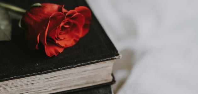 كلام تصبح على خير رومانسي وجميل جدا