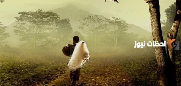 كلام عن واقع الحياة تويتر