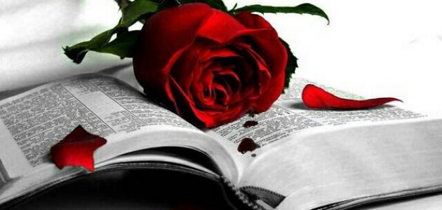 كلمات ذات معنى عميق في الحب قوية جدا للعشاق