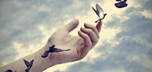 كلمات عن الحياة والامل بالانجليزي مترجمة