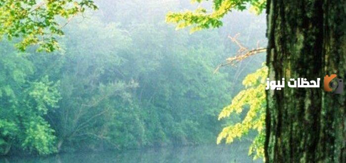 كلمات عن جمال الطبيعة بالانجليزي مترجمة وقصيرة