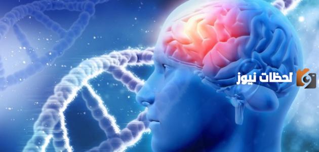 كم يبلغ عدد خلايا المخ وكم مرة تتجدد
