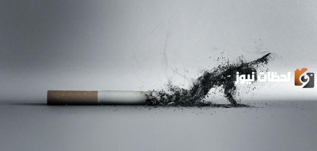 كيفية كتابة مقدمة عن التدخين وأضراره على الفرد والمجتمع