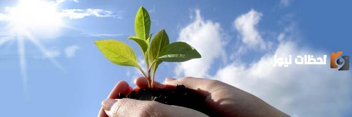 ما هي المسؤولية الاجتماعية في التعليم